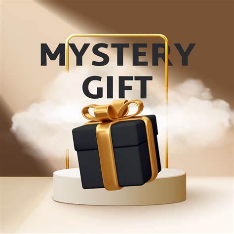SURPRISE MYSTERY BOX