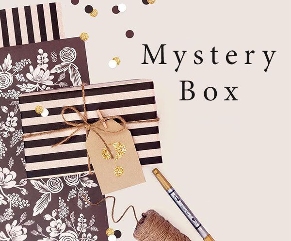 SURPRISE MYSTERY BOX